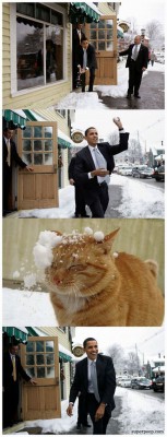 obama.jpg