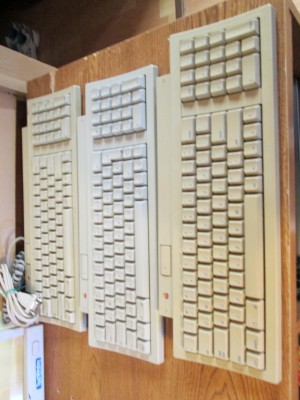 Apple 032.JPG