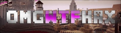 omgwtfhax cover.jpg